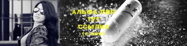 винт Верея