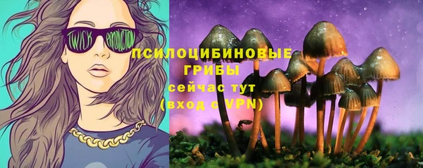 винт Верея
